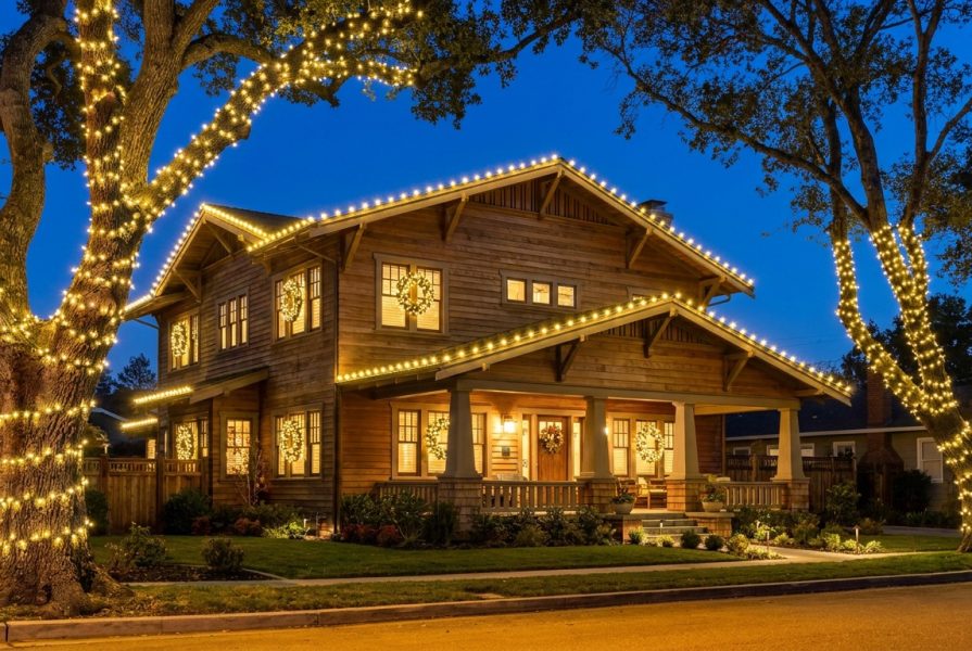 wrapping-mature-trees-holiday-lights-east-bay